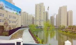 桃园新城最新爆料信息,揭秘未来城市生活新篇章