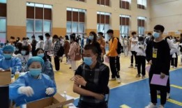 派派国服爆料最新消息,揭秘游戏新内容与更新动态